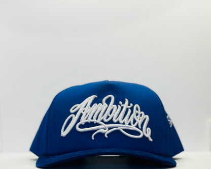 Ambition Samaniego club